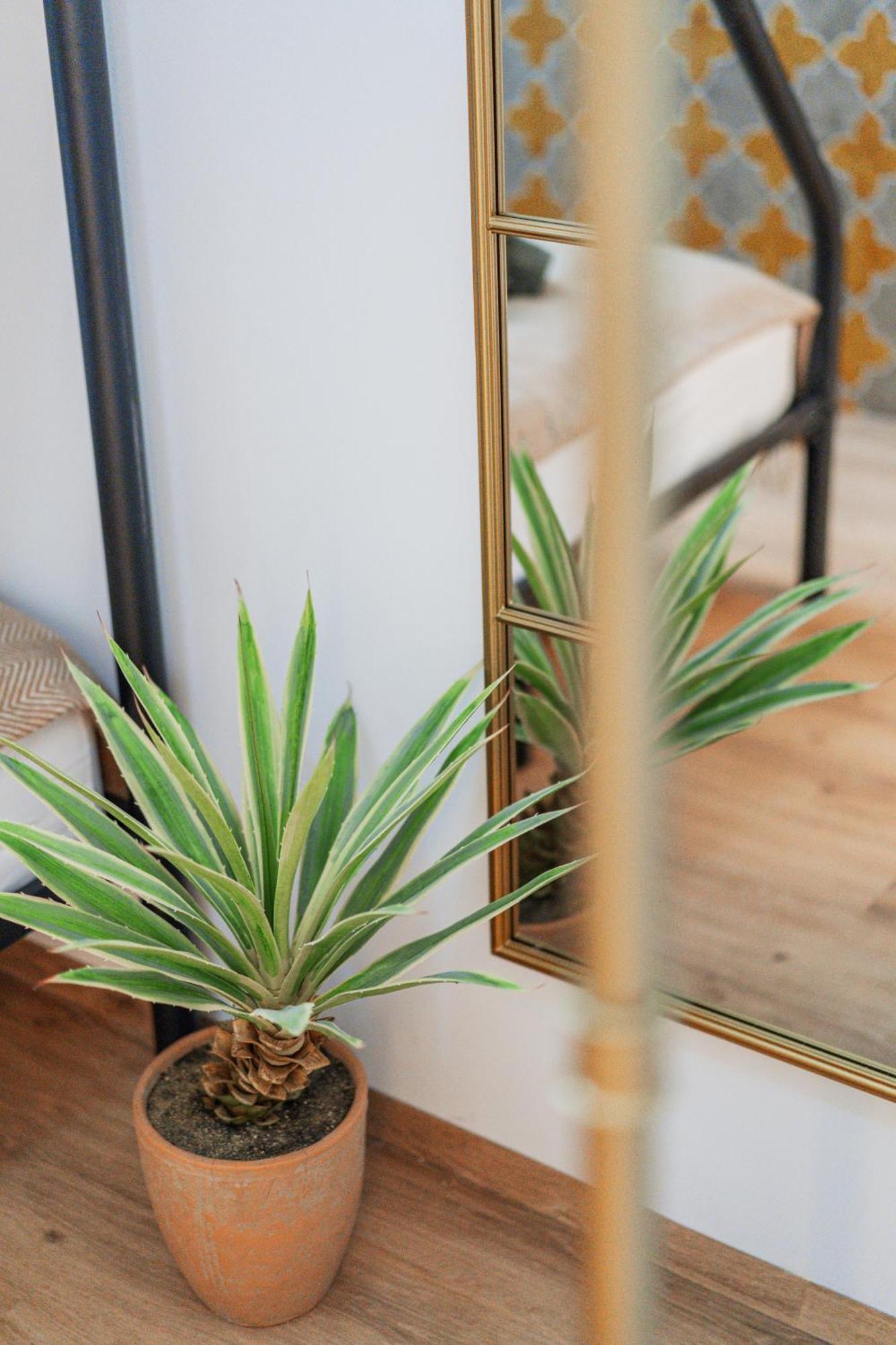 וינה Green Apartments מראה חיצוני תמונה